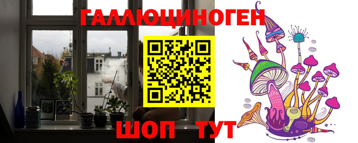 Кизляр  Галлюциногенные грибы Psilocybe  Вход с VPN 